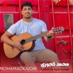 دانلود آهنگ فرمانده فرمانده تجربه دار جنگنده (ریمیکس مازندرانی)